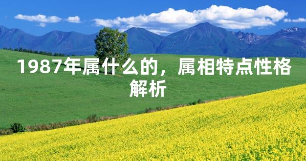 1987年属什么的，属相特点性格解析  